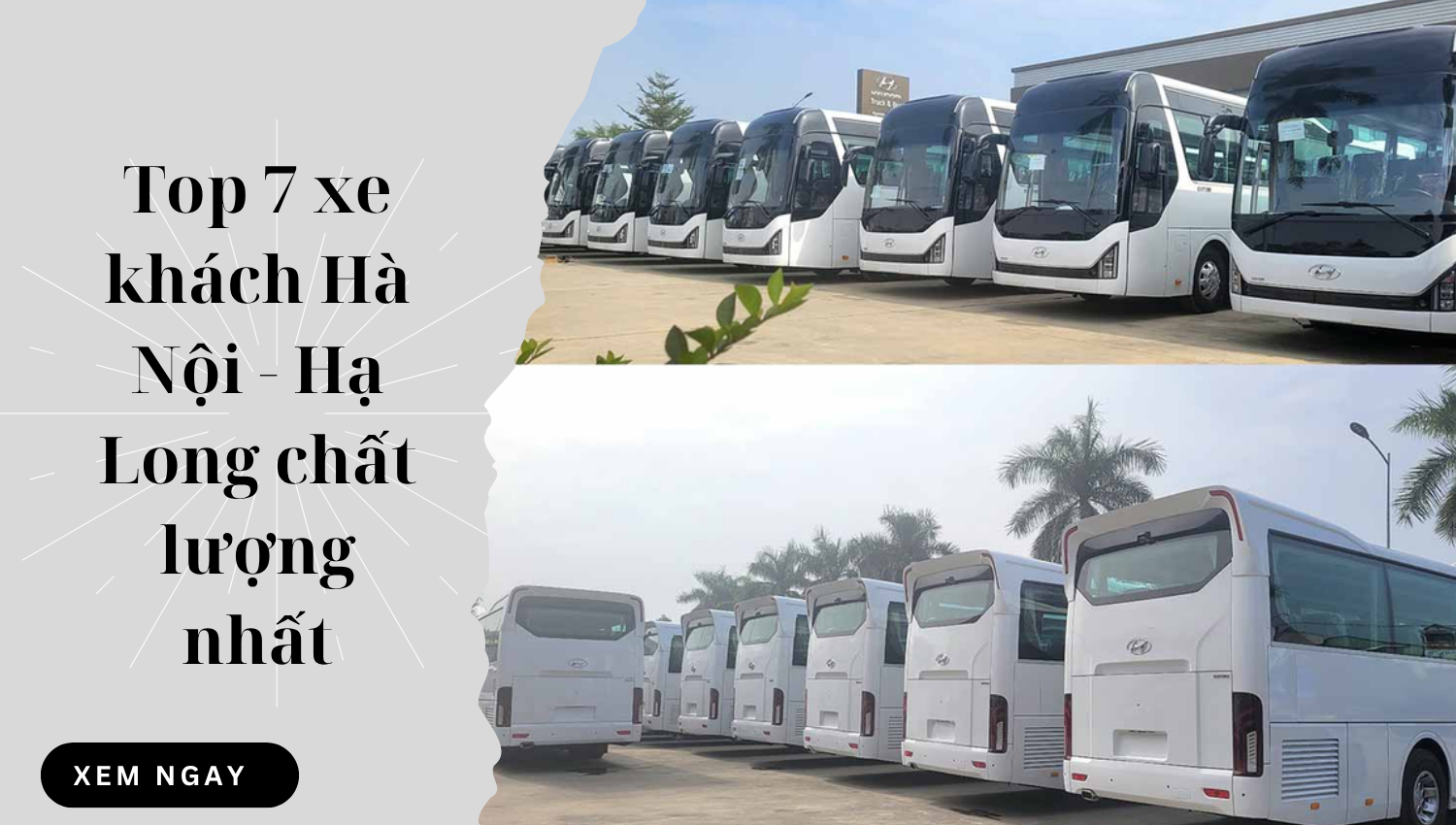 Top 7 xe khách Hà Nội - Hạ Long chất lượng nhất