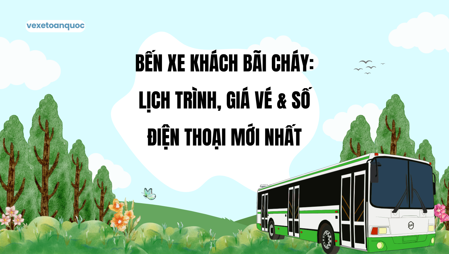 Bến Xe Khách Bãi Cháy: Lịch Trình, Giá Vé & Số Điện Thoại Mới Nhất