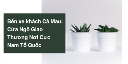 Bến xe khách Cà Mau Cửa Ngõ Giao Thương Nơi Cực Nam Tổ Quốc