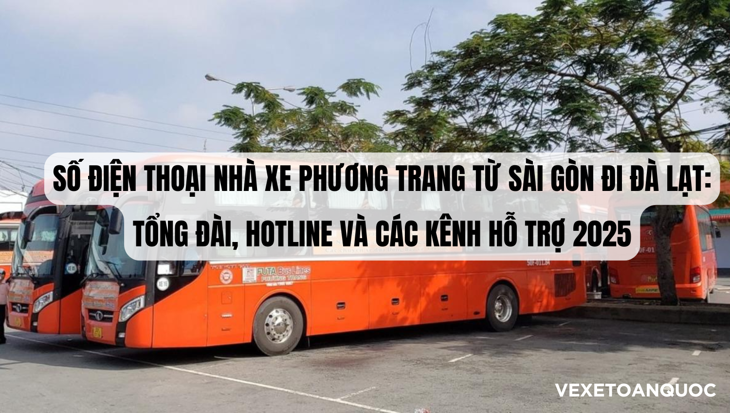 Số điện thoại nhà xe Phương Trang từ Sài Gòn đi Đà Lạt: Tổng đài, Hotline và Các kênh hỗ trợ 2025