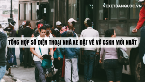 Tổng Hợp Số Điện Thoại Nhà Xe Đặt Vé và CSKH Mới Nhất